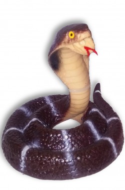 Serpente cobra in posizione di attacco in gomma marrone