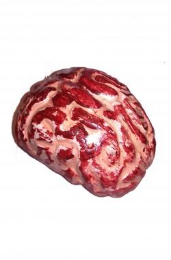 Cervello umano Halloween