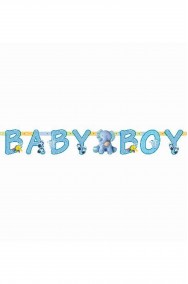 Festone nascita bambino baby boy azzurro