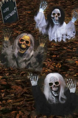 Pacchetto offerta decorazioni Halloween da giardino: tre scheletri che escono dal terreno 53cm