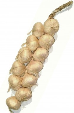 Ghirlanda tralcio d'aglio finto da decorazione antivampiro