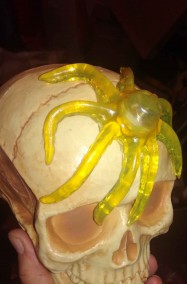 Decorazione Halloween Scherzo Orribile Octopus polpo schifoso