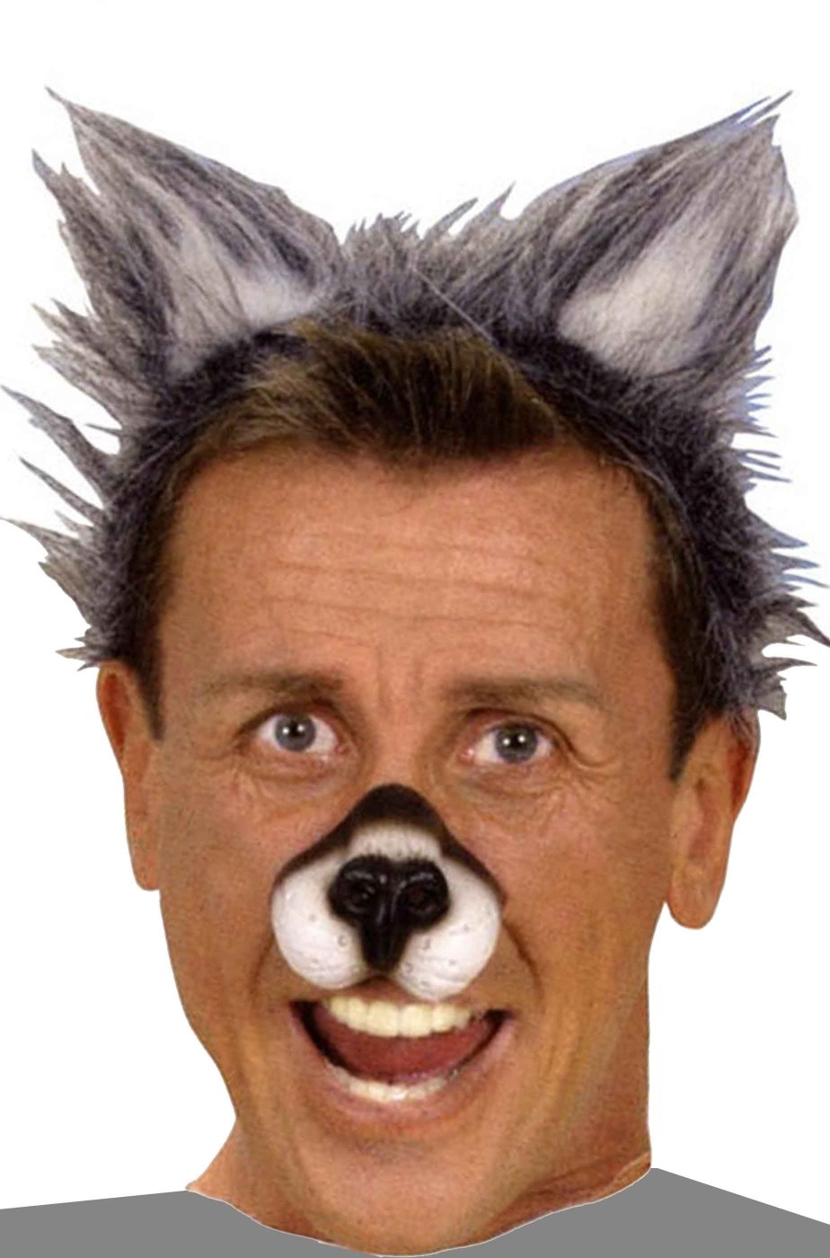 Orecchie da Lupo grigio (SOLO ORECCHIE) Orecchie da Lupo grigio (SOLO ORECCHIE)