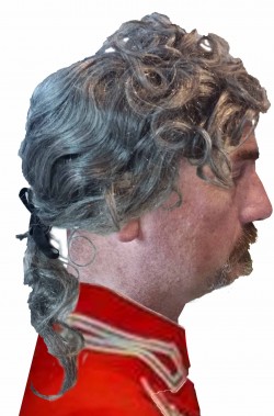 Parrucca da uomo grigia 700 sanculotto con codino