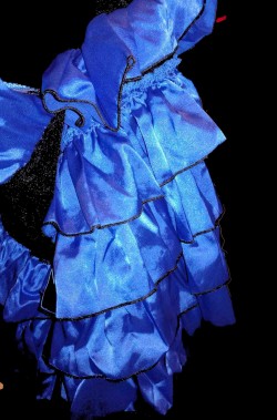 Costume carnevale donna Ballerina del Can Can blu