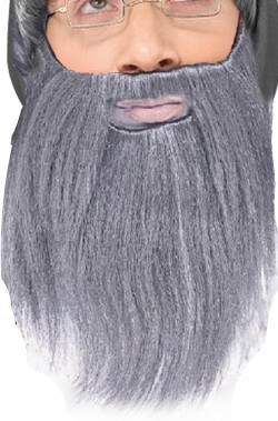 Barba finta grigia con baffi mago Gandalf
