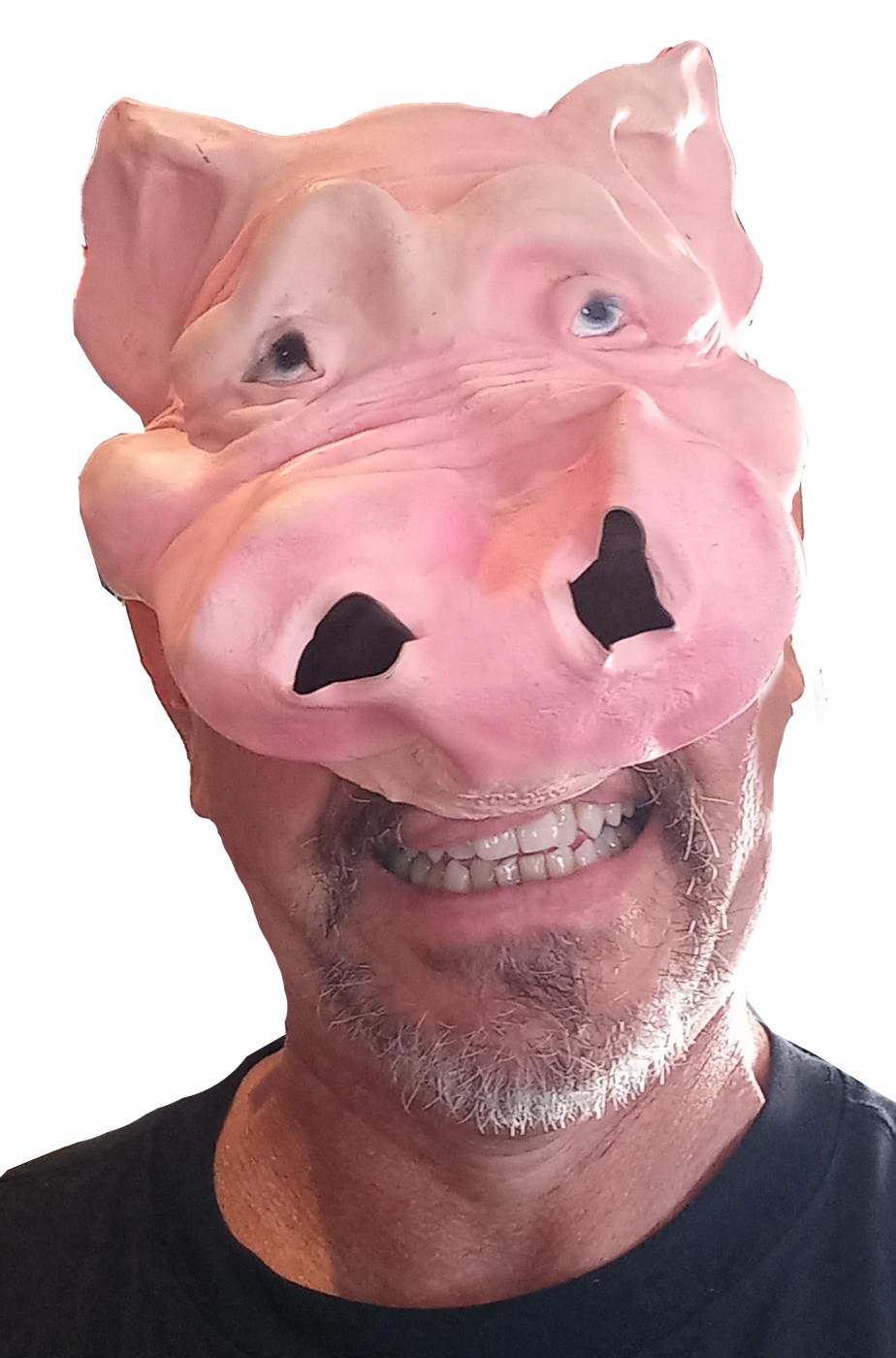 maschera di carnevale da maiale adulto