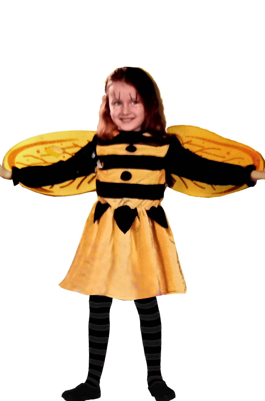vestito di carnevale da bambina ape maia con le ali