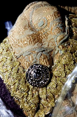 tessuto del vestito di Luigi XVI del carnevale di Venezia