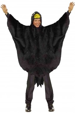 Vestito di carnevale il corvo