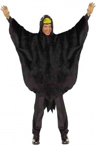 Vestito di carnevale il corvo