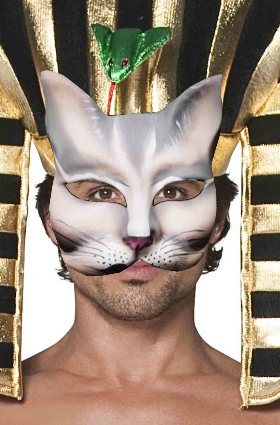 5 Maschere Di Cartapesta Bianche Fai Da Te - Design Gatto E Altri - Foto 8