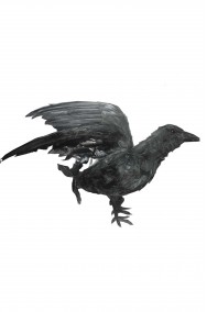 Uccello nero finto corvo o cornacchia
