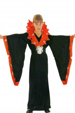 Costume Halloween Bambina lungo economico Spiderella