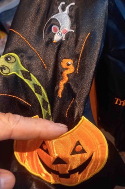 Dettaglio del costume halloween da bambina piccola con taschina