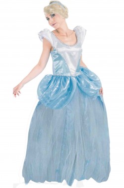 Costume di cenerentola adulta