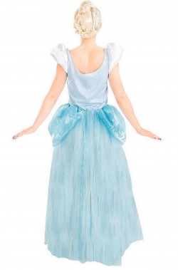 Costume di cenerentola vista posteriore