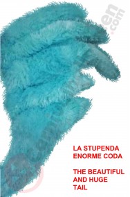 Coda del Costume Bip Bip roadrunner adulto