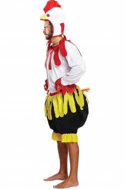 Costume di carnevale da pollo