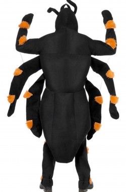 Costume uomo ragno