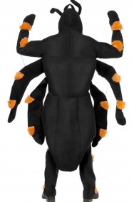 Costume uomo ragno
