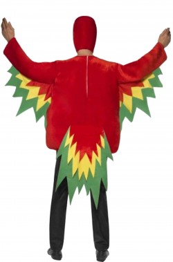 Costume di carnevale da pappagallo adulto