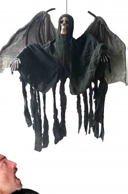 Decorazione Halloween da appendere morte