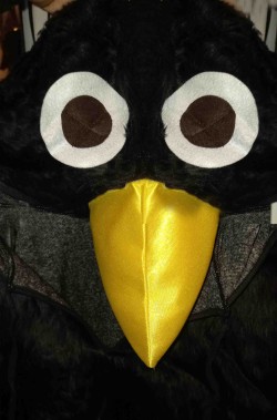 Muso del costume da merlo o da corvo