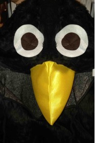 Muso del costume da merlo o da corvo