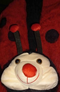 Muso del costume da coccinella adulta