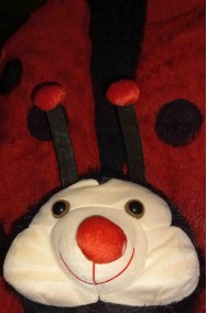 Muso del costume da coccinella adulta