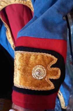 Manica del costume da Napoleone