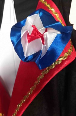 Coccarda francese del costume di Napoleone