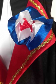 Coccarda francese del costume di Napoleone