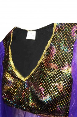 Dettaglio del costume da odalisca