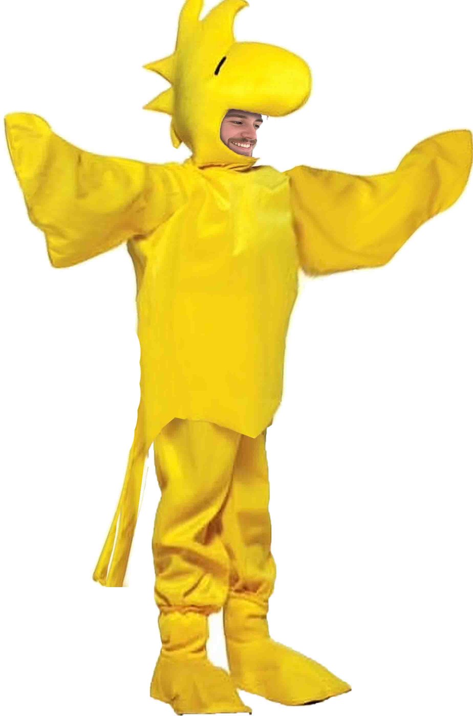 Costume di Woodstock di Snoopy