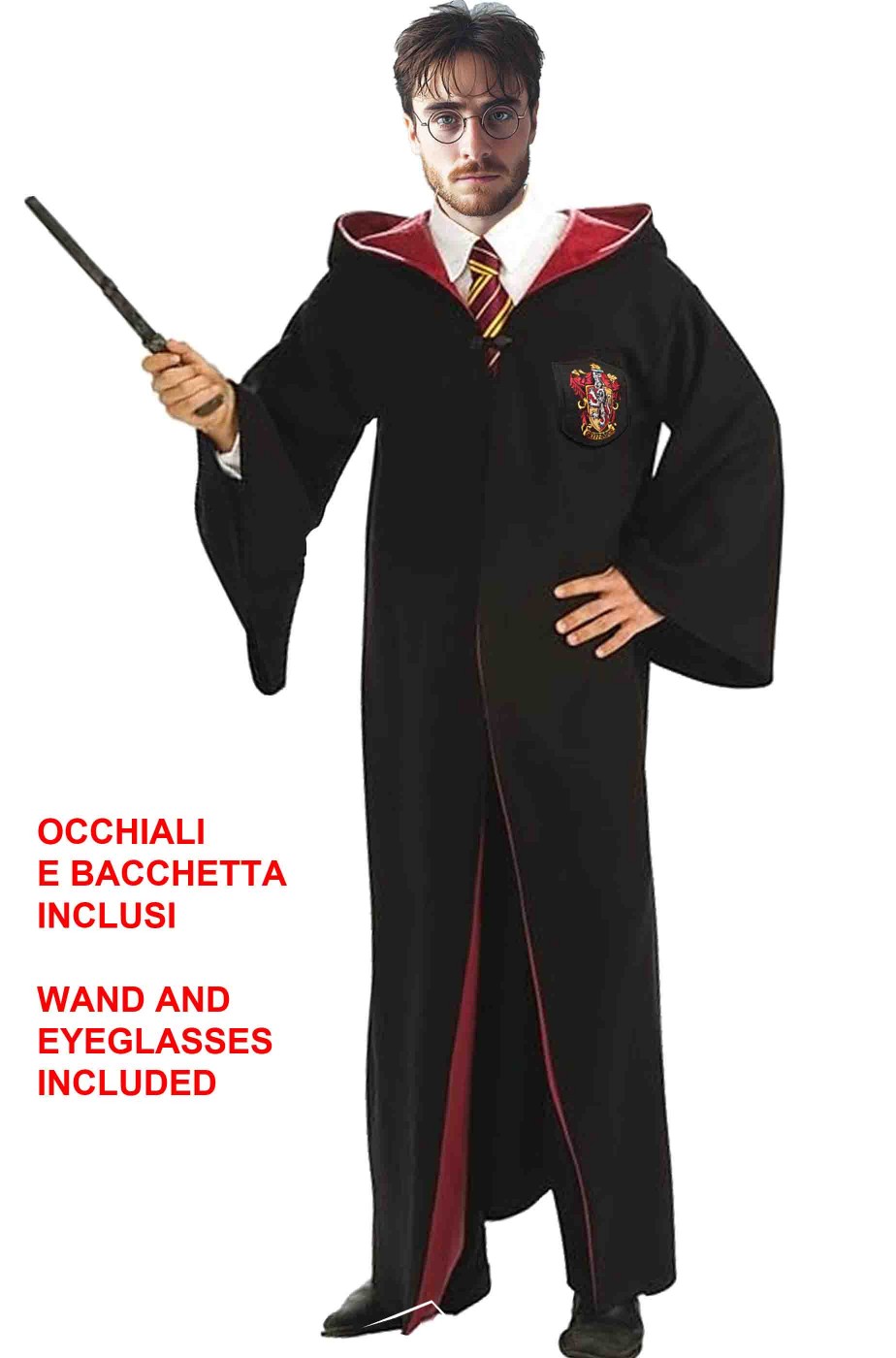 Costume di carnevale da Harry Potter