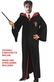 Costume di carnevale da Harry Potter