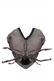 Foto di dettaglio del naso da topolino