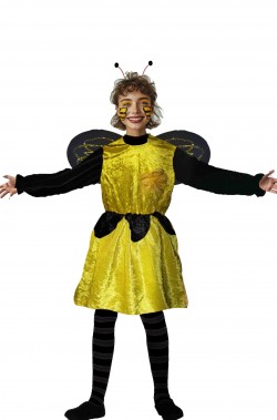 Costume carnevale da ape...