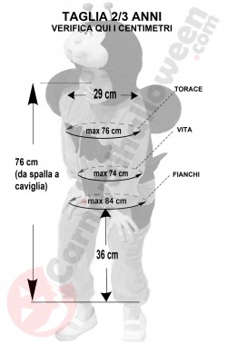 Misure del costume di carnevale da ape bambino 2 3 anni
