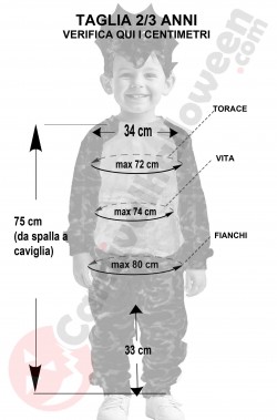 Misure costume da dinosauro bambino 2 3 anni