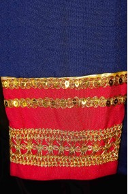 Dettaglio del polsino del vestito da principe azzurro