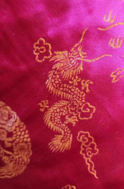Dettaglio del tessuto del costume cinese con dragone