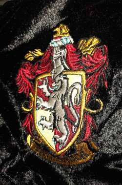 Logo di Grifondoro Gryffindor del costume bambino di Harry Potter
