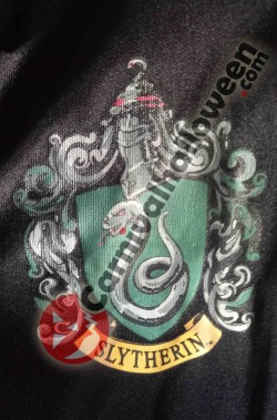 Marchio di Serpeverde sul costume di Harry Potter