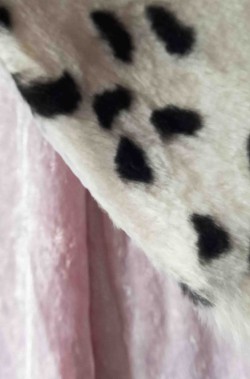 Foto di dettaglio del cappotto di Crudelia Demon Disney