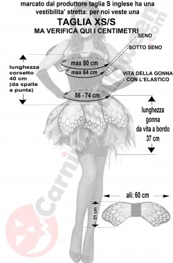 Misure costume da farfalla da donna blu taglia XS S