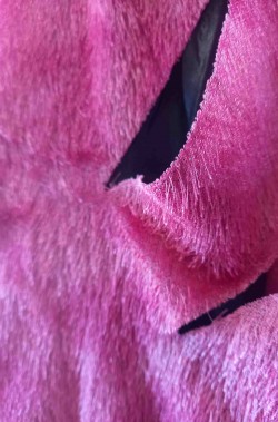 Foto di dettaglio del costume di stregatto da donna rosa