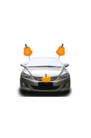 Costume di Halloween per automobile